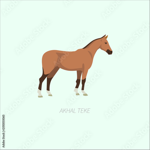 Foto Marwari horse cartoon illustration with brown coat, standing Indian equine breed