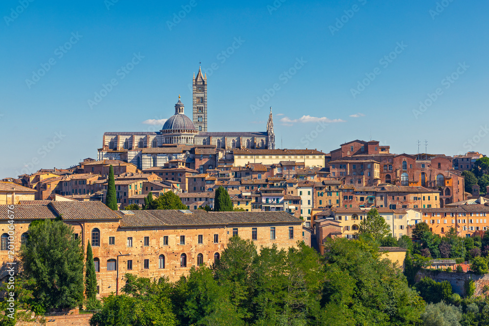 Obraz premium Panoramic skyline view of the medieval city of siena with the cathedral santa maria assunta under a blue sky, tuscany, italy