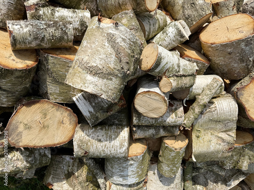 Pile of uncut birch firewood stacked outdoors. Natural birch logs with white bark in a wood heap, unprocessed and unsplit.