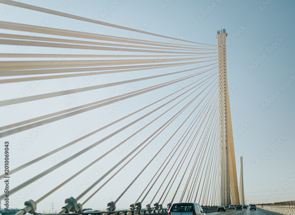 Fototapeta premium Wadi Laban Bridge, a cable-stayed bridge in Riyadh, Saudi Arabia.