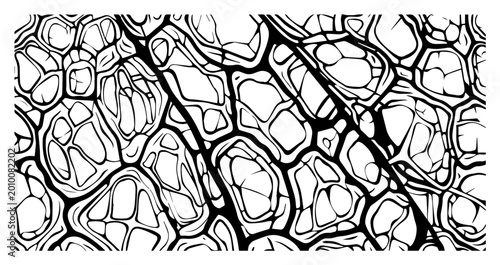 Foto Abstract Organic Cell Structure or Stone Texture Background, Hand Drawn Giraffe