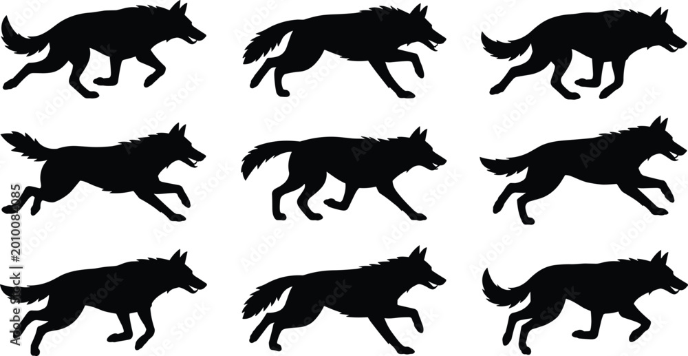 Obraz premium Black Silhouette Wolf Running Action Pose Set with Different Motion Frames for Wildlife and Animal Design Elements