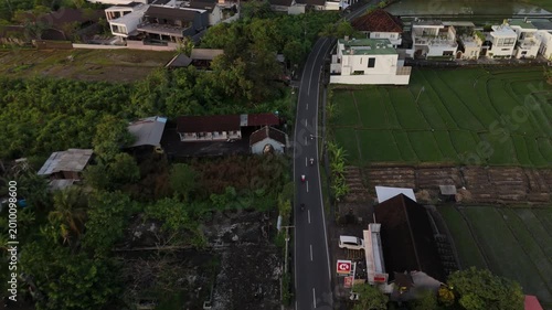 Canggu Bali 4K drone aerial of lush rice fields in late afternoon light, tropical landscape with green paddies, rural scenery and soft natural lighting, Southeast Asia travel destination.
