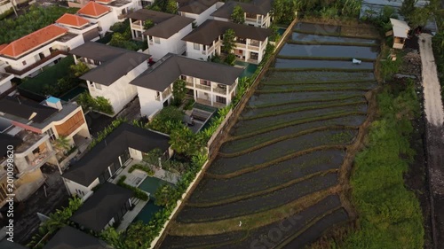 Canggu Bali 4K drone aerial of lush rice fields in late afternoon light, tropical landscape with green paddies, rural scenery and soft natural lighting, Southeast Asia travel destination.