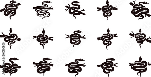 Fotografie Set of snake entwined around branches in silhouette on transparent background