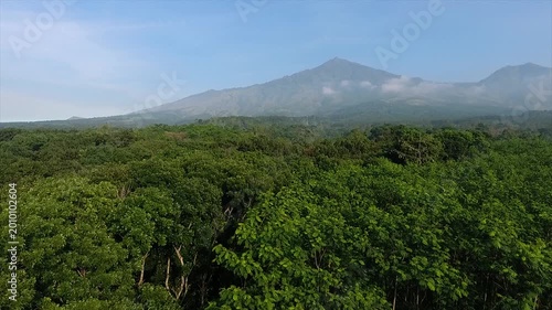 A magnificent 4K aerial view of lush tropical forest with the towering peak of Mount Welirang under a blue sky.
