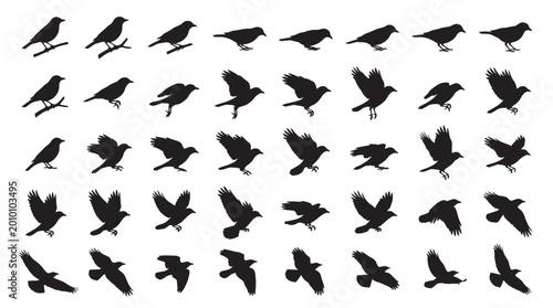 Tableau sur toile Bird Takeoff Motion Sequence Silhouettes Set Pack, Editable Vector Stroke Illustrations
