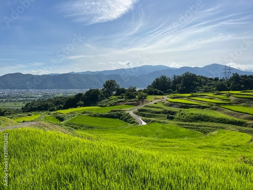 Obasute Terraced Rice Fields in Chikuma, Nagano, Japan