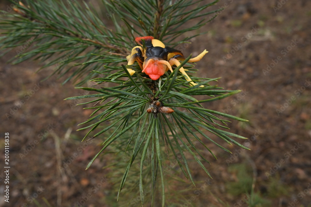 Fototapeta premium Toy insect sitting on a green pine branch capturing childhood wonder and outdoor exploration