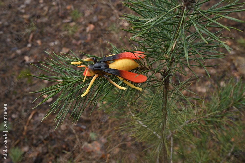 Obraz premium Toy hornet replica resting on green pine tree needles simulating a wildlife in scene nature