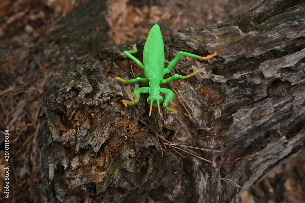 Fototapeta premium Green plastic locust toy standing on textured tree bark, representing and nature imagination artificiality