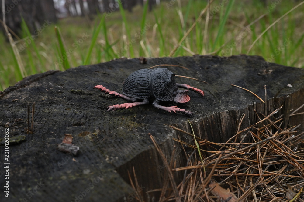 Fototapeta premium Black plastic beetle toy resting on an old tree stump in a forest, contrasting artificial object natural and environment