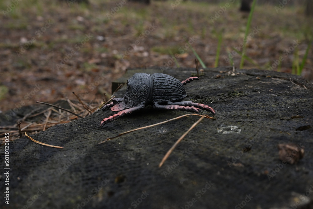 Fototapeta premium Black plastic beetle toy resting on an old tree stump in a forest, contrasting artificial natural and environment object