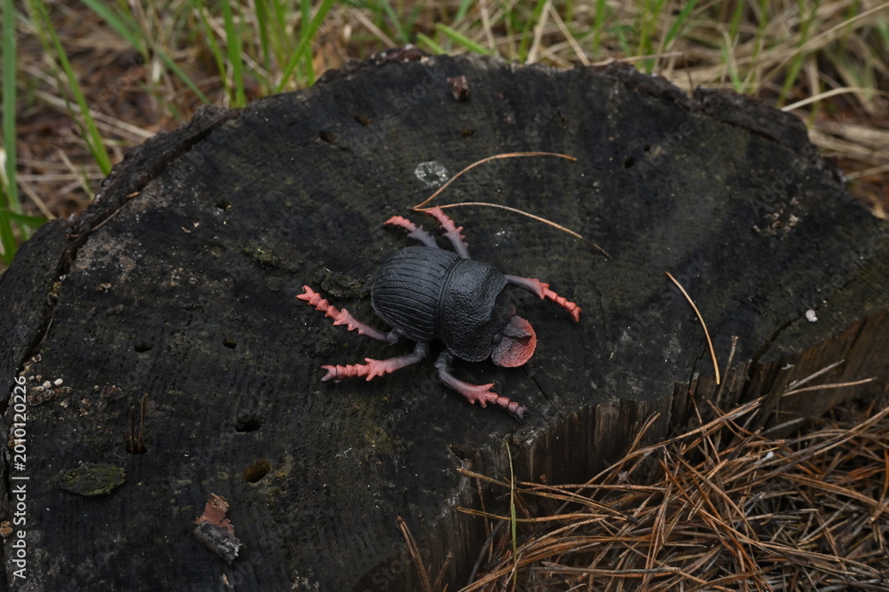 Fototapeta premium Toy insect with pink legs sitting on weathered tree stump, representing childhood connection play nature