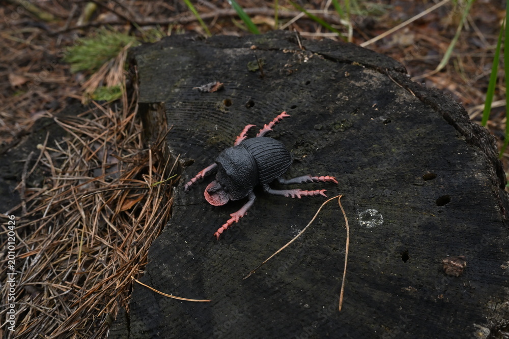 Fototapeta premium Toy insect with pink legs sitting on weathered tree stump, representing childhood connection nature and play
