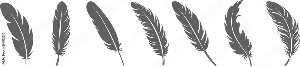 Obraz premium Black Feather Silhouette Vector Set, Hand Drawn Bird Plume Collection, Decorative Nature Illustration PNG Transparent