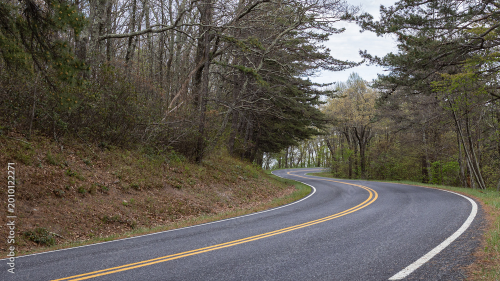 Obraz premium Curving Scenic Mountain Road Through Forest in Early Spring