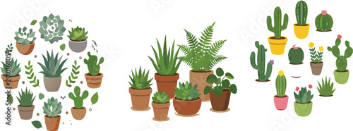 Schilderij op canvas Succulent and cactus plants set with potted desert and indoor greenery, decorati
