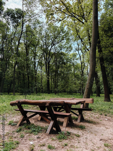 Rustic wooden picnic table standing in peaceful green forest clearing. Natural outdoor recreation spot surrounded by tall trees and spring foliage.