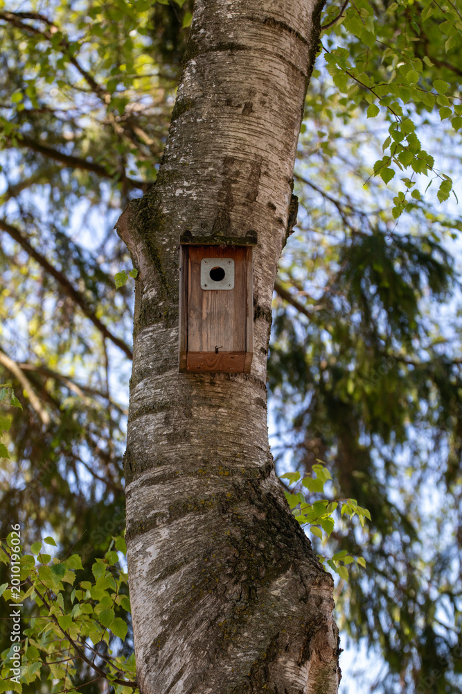 Fototapeta premium Wooden birdhouse mounted on a tree trunk in a green forest environment. Natural nesting box for birds surrounded by fresh leaves and soft background blur.