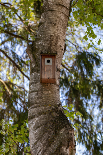 Wooden birdhouse mounted on a tree trunk in a green forest environment. Natural nesting box for birds surrounded by fresh leaves and soft background blur.