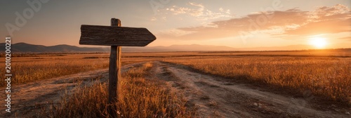 Directional Signpost in a Golden Field at Sunset.