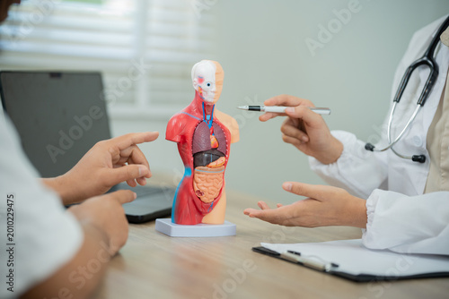 Tableau sur toile Doctor consulting patient in clinic, diagnosing pain and disease, examining anatomy, providing treatment, therapy, prevention, and healthcare support for recovery