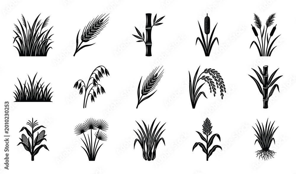 Fototapeta premium Collection of various stylized black and white cereal and grass plant icons
