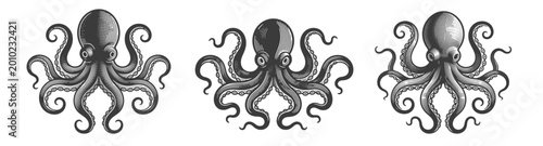 Giant sea octopus set, vintage monochrome engraving vector illustration for logo or nautical design