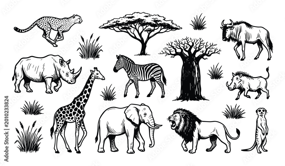 Fototapeta premium Collection of hand-drawn African safari animals and plants, including a cheetah, rhino, giraffe, zebra, elephant, lion, meerkat, wildebeest, warthog, acacia tree, baobab tree, and grass