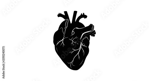 Anatomical heart, human organ, black icon, medical symbol, cardiovascular illustration isolated on White Background vector eps silhouette