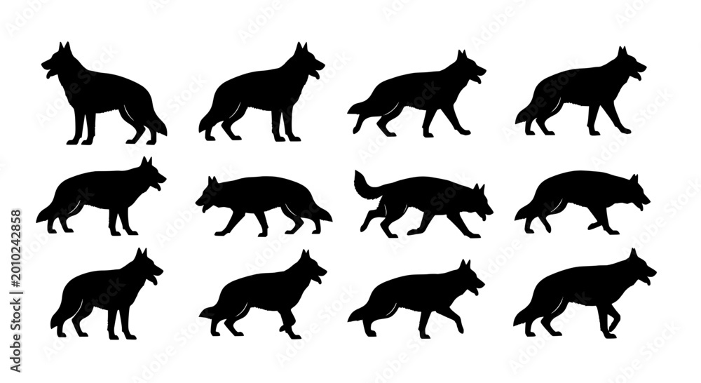 Obraz premium Wolf head and body icons set of black silhouette animals for vector logo, wildlife badge, and hunting theme design