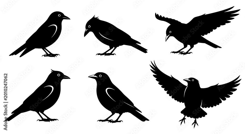 Fototapeta premium Birds silhouette set with various poses and flight actions featuring black, white, flying with perched and standing elements for wings, feathers
