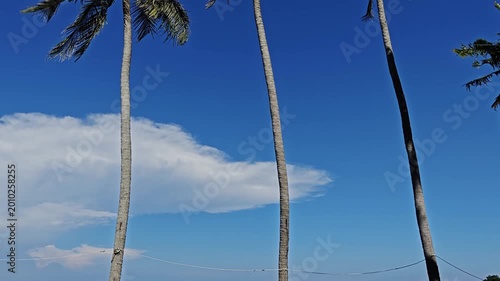 Scenic Tropical Coastline with Traditional Jukung Outrigger Boats and Palm Trees under a Clear Blue Sky