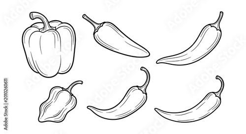 Hand drawn pepper and chili set black and white sketch
