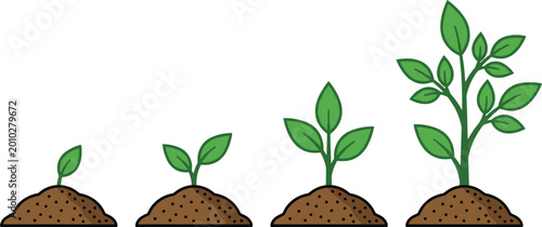 Photos Sequential Stages of a Young Green Plant Growing from Soil Mounds Representing B