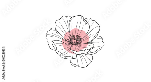 minimalist hand-drawn pink camellia flower illustration isolated on white background