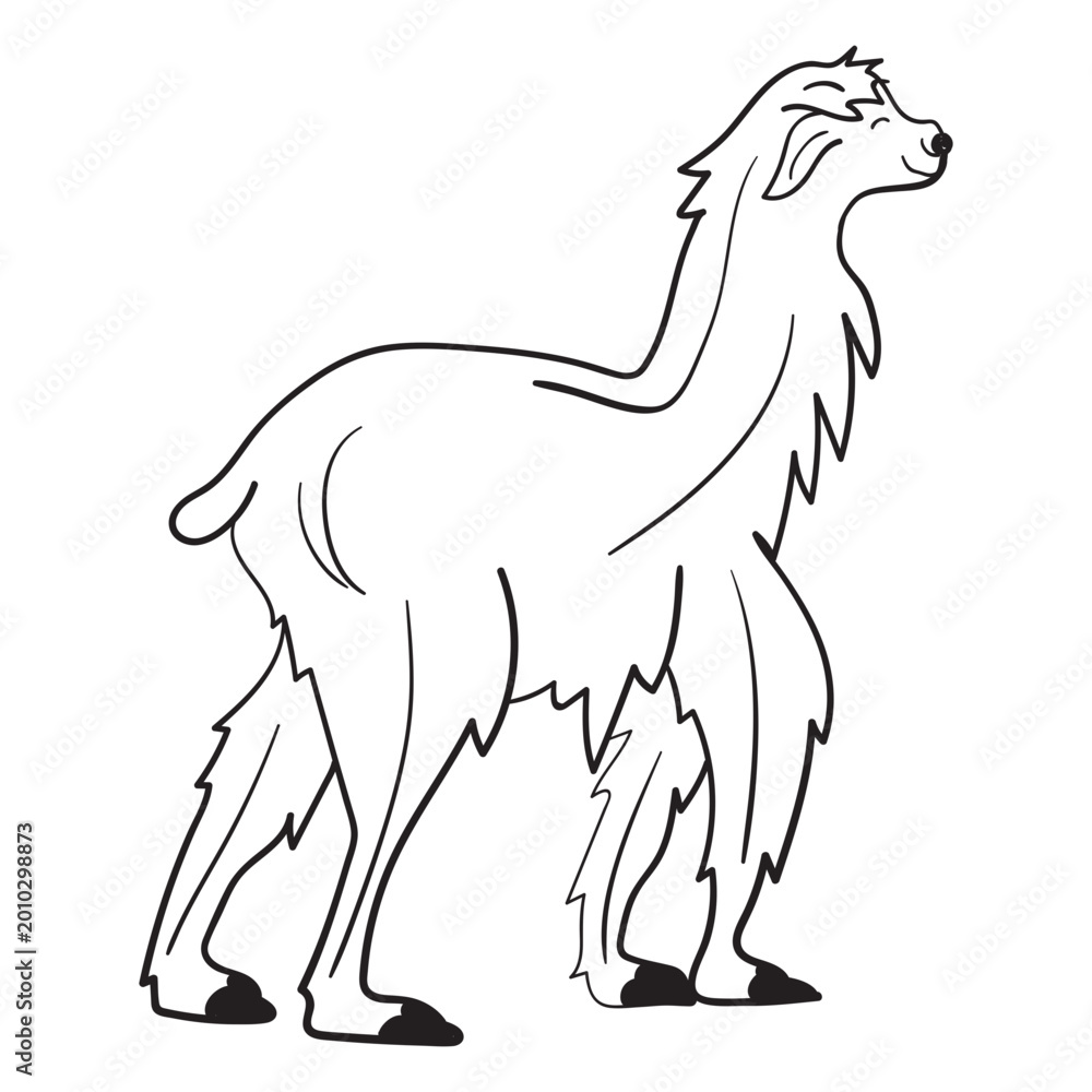 Obraz premium Llama walking stroke