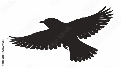 Bilde på lerret Graceful black bird in flight, a captivating silhouette against a pristine backg