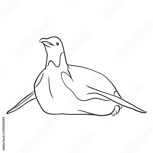 Obraz na płótnie Penguin wing beak crawling sketch