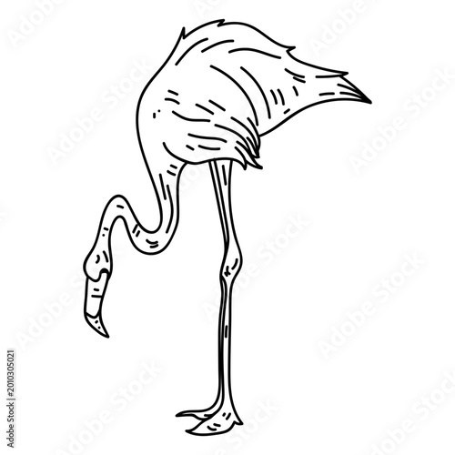 Quadro su tela Flamingo beak pink leg stroke