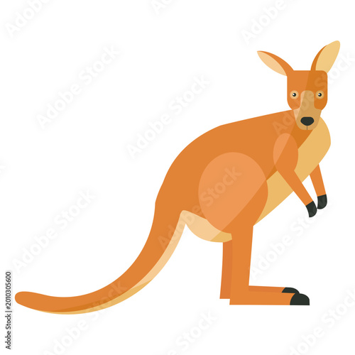 Foto Kangaroo tail ear leg flat