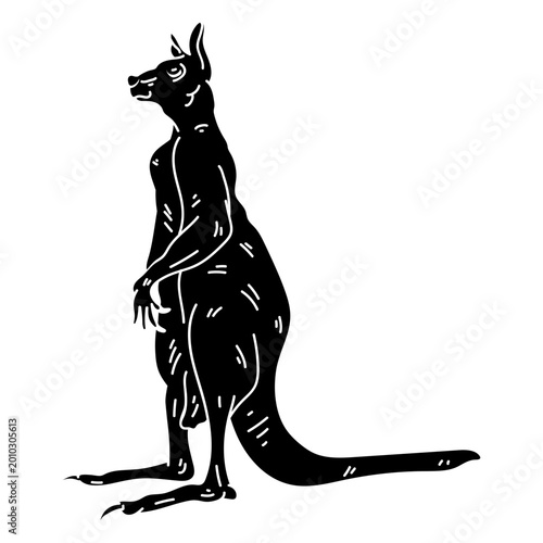 Foto Kangaroo tail ear leg silhouette