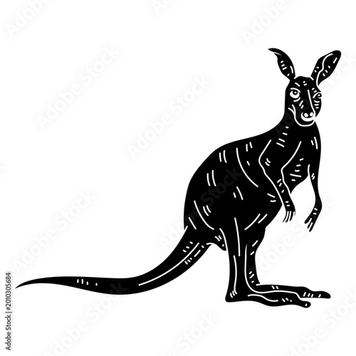 Photography Kangaroo tail leg silhouette