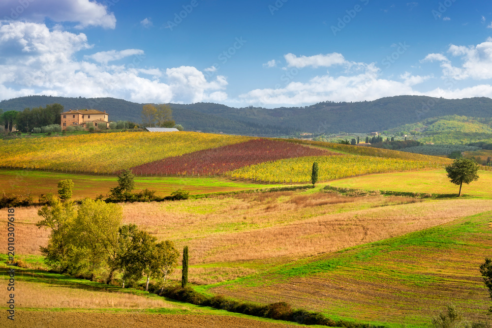 Fototapeta premium Autumn Landscape with Vineyards in Castellina in Chianti, Italy