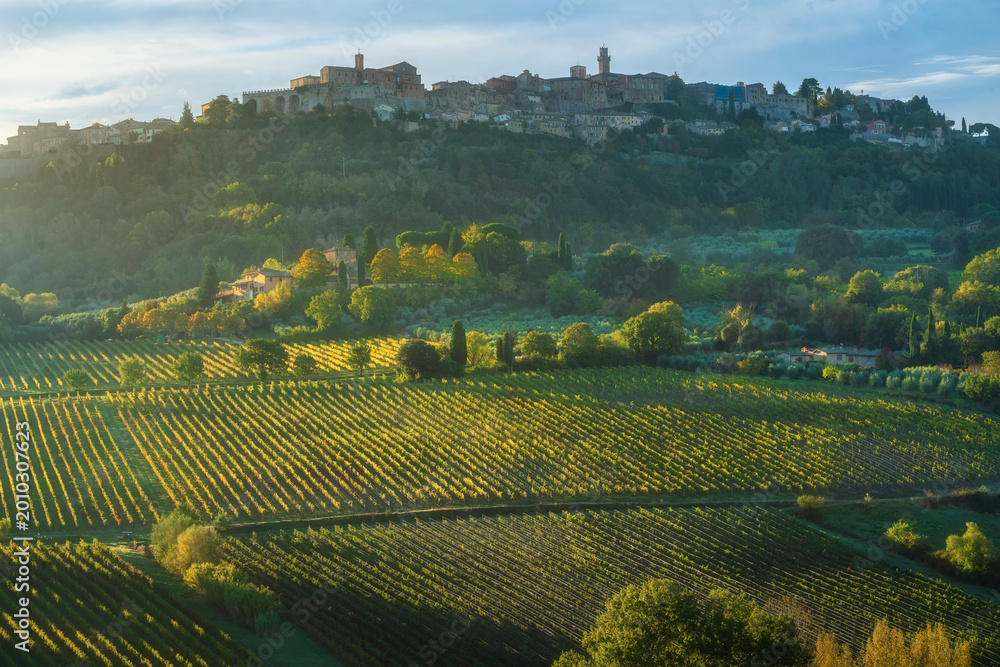 Fototapeta premium Montepulciano Medieval Village and Vineyards at Dawn, Tuscany