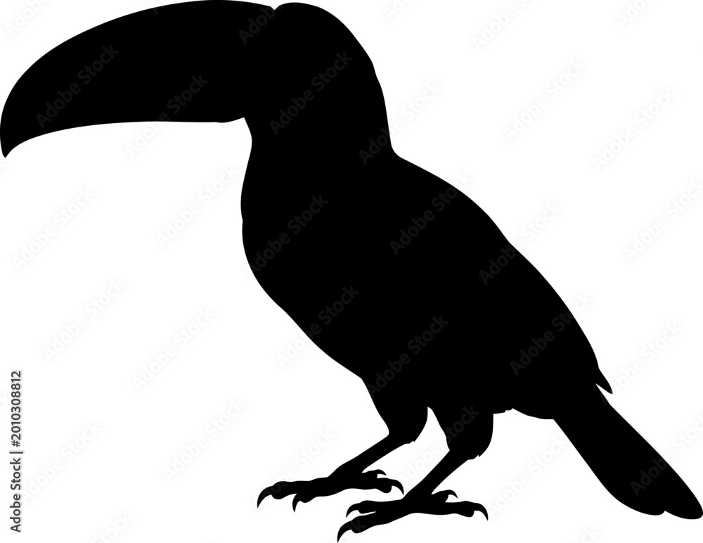 Fototapeta premium Black silhouette of a toucan bird on a white background, vector illustration