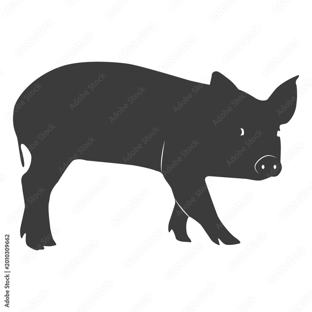 Obraz premium Snout pig ear hoof silhouette