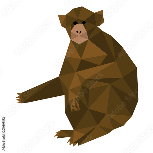 Photography Capuchin monkey sitting lowpoly