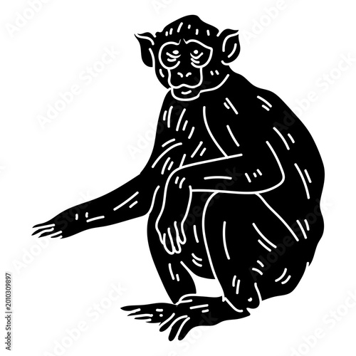 Photography Capuchin monkey sitting silhouette